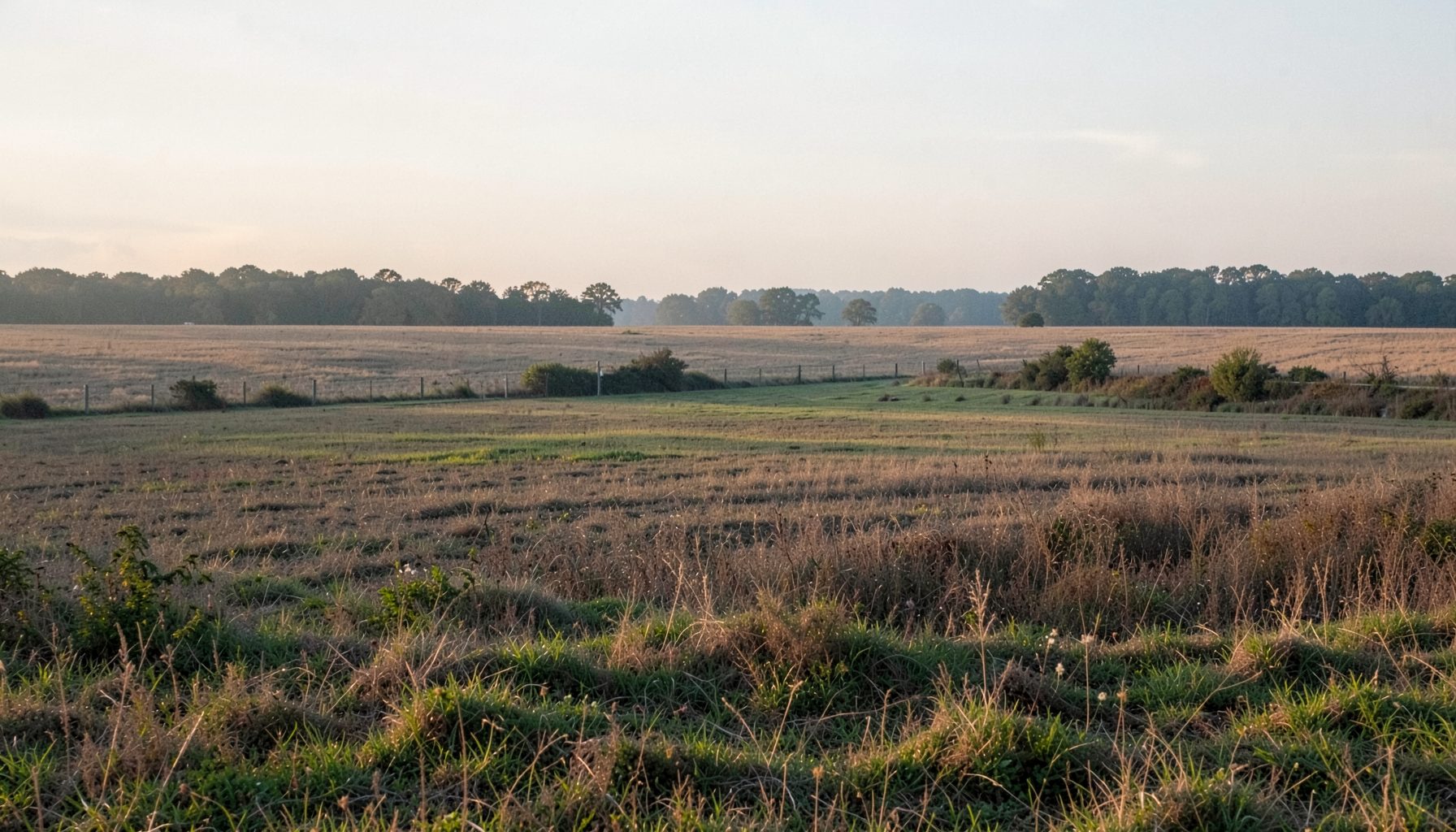 A sweeping view of rural Georgia countryside with farmland and distant tree lines under a soft sky, peaceful pastoral mood.
